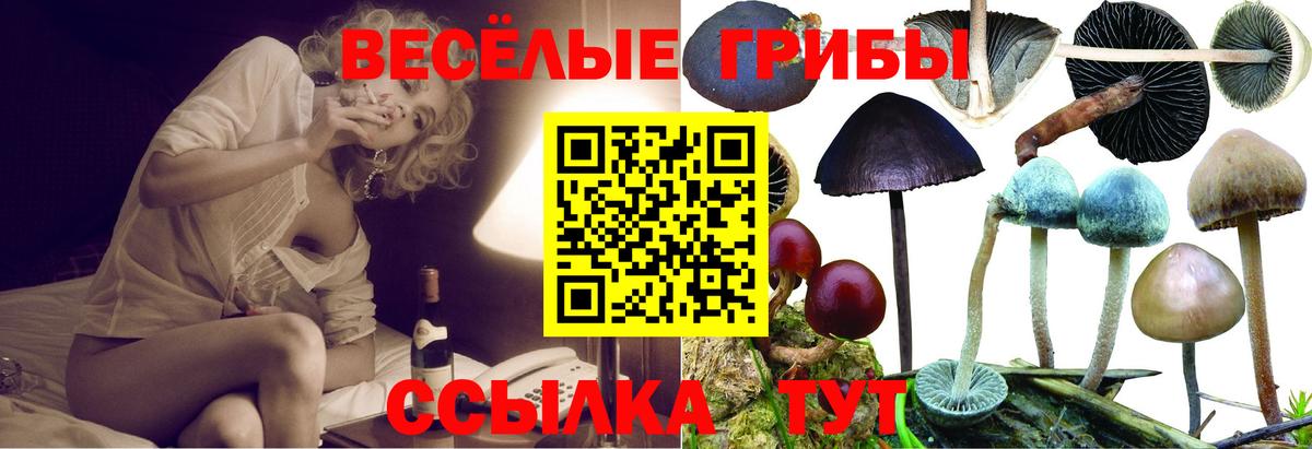 Галлюциногенные грибы мицелий Ижевск
